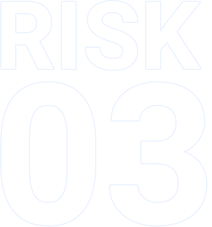 RISK 03